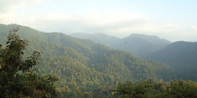 MOUNTAINS SABARIMALA KERALA panoramio